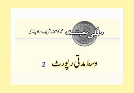 وسط مدتی رپورٹ (2)